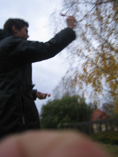Bild av Jesper