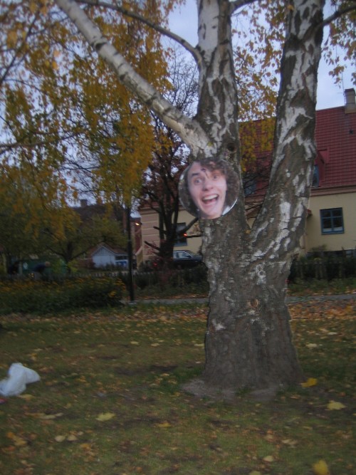 Bild av Jesper
