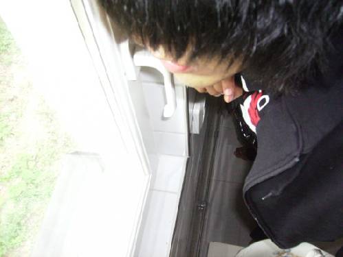 Bild av alesana