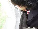 Bild av alesana