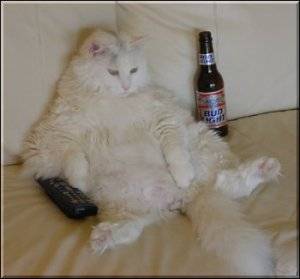 Tv slav