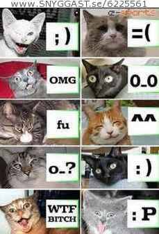 Humor bild va?