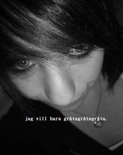 JaGäLSKarERiK