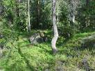 Bild av toory