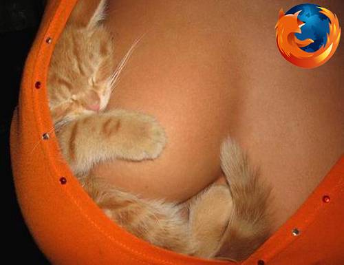jag önskar att jag våre den där katten nu haha! X)