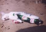 typiskt min katt X)