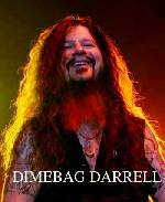 dimmebag