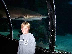 Bild av jontemonster
