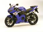 FIN FIN R6! :D