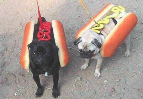 Hot Dogs^^