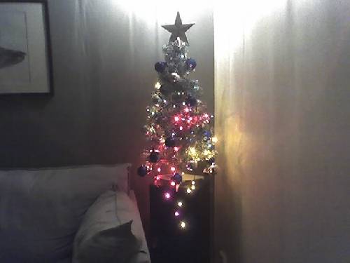 Naimas vackra julgran! :)