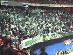 Hammarby!