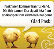 Bild av sportykillen