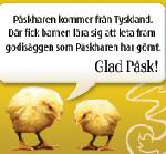Bild av sportykillen