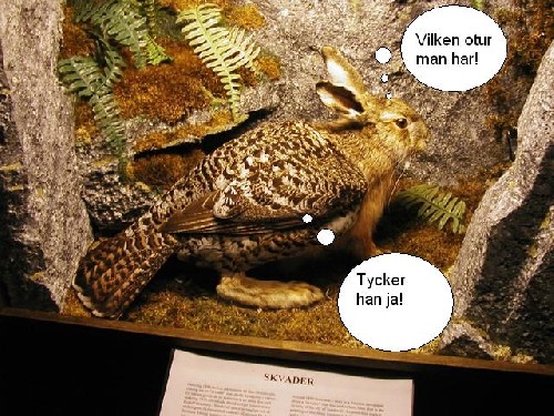 skvader