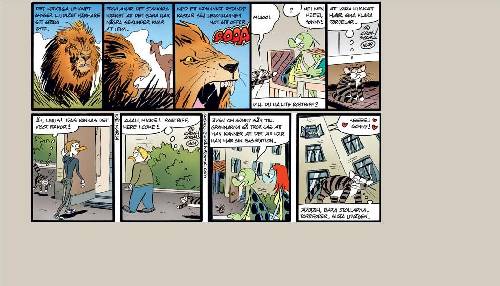 En katts liv...