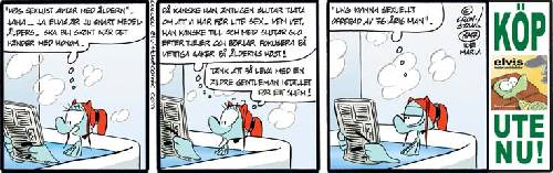 Bild av serietecknaren