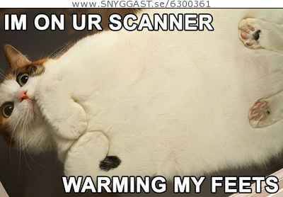 kanner (katt+skanner)