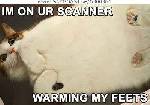 kanner (katt+skanner)