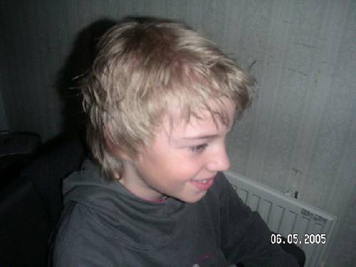 Bild av argino