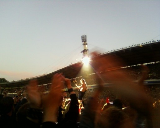 Bild av vipern