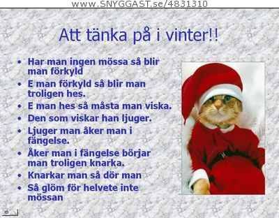 Bild av filleiniho