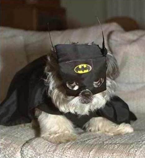 Dogman