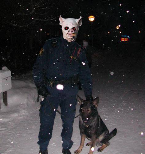 en helt vanlig polis