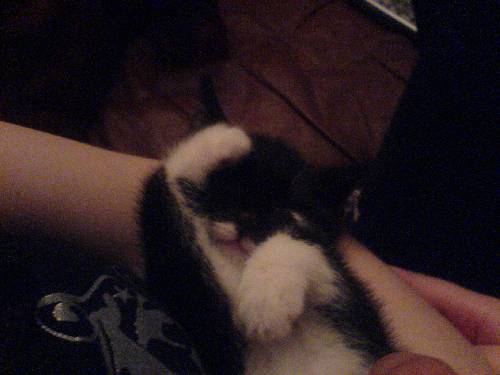 Stella sover hos mej :D
