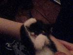 Stella sover hos mej :D