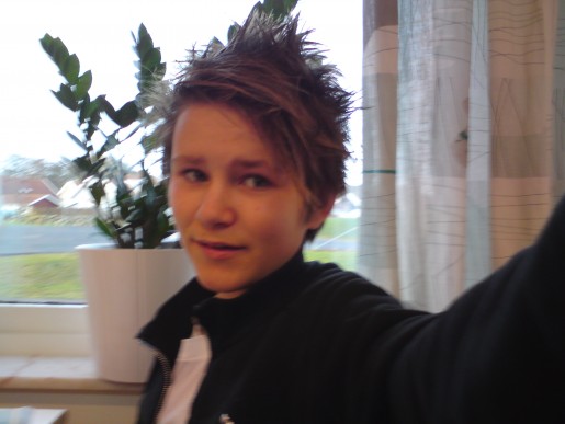 Bild av antanst