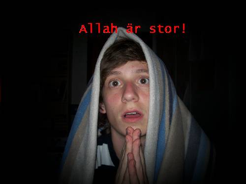 Bild av hampoos