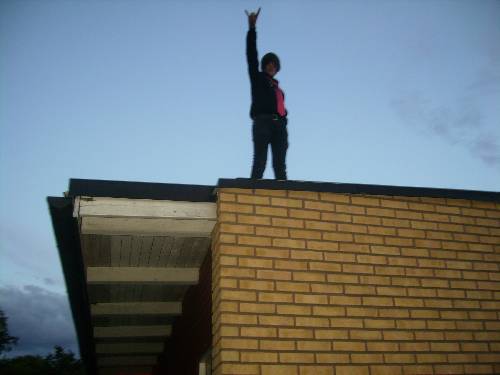 he is the king of the world