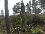 finland