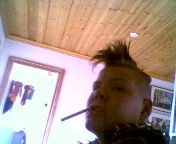 Bild av bajsianalen