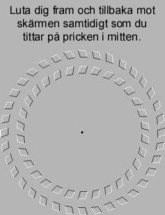 Bild av jakk132
