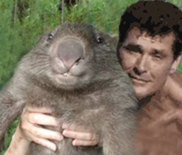 David hasslehoff med en vombat