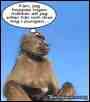 Bild av poff2