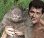 David hasslehoff med en vombat