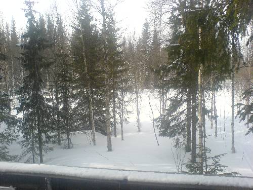 Längtar till vintern, bilden tagen 21/11-06 uppe i nyhem, var över metern uppe på fjällen typ 8km från våran stuga :)