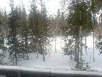 Längtar till vintern, bilden tagen 21/11-06 uppe i nyhem, var över metern uppe på fjällen typ 8km från våran stuga :)