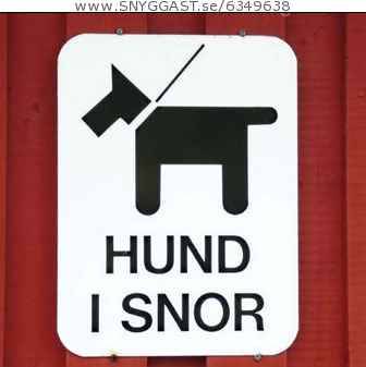 Hund i snor? haha xD