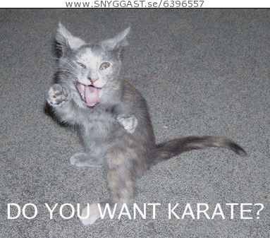 Ninja mastern!