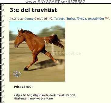 vill nån ha en fin häst? :D