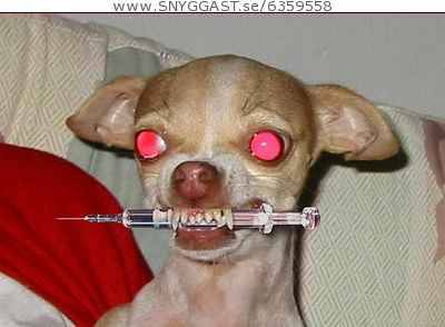 Dr HundxD