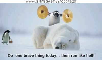Pingu är lite kaxig idag:P