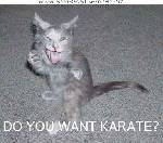 Ninja mastern!