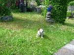 Bild av ricardo90