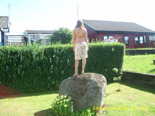 Bild av fiskpinnen93