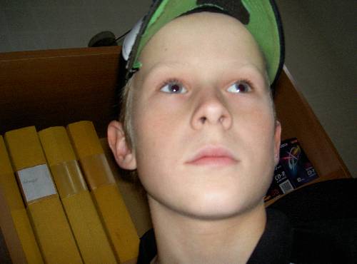 Bild av skarin